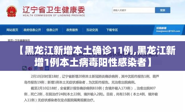 【黑龙江新增本土确诊11例,黑龙江新增1例本土病毒阳性感染者】