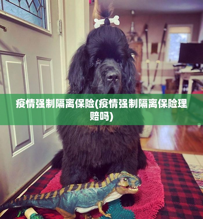 疫情强制隔离保险(疫情强制隔离保险理赔吗) 疫情强制隔离保险(疫情强制隔离保险理赔吗)