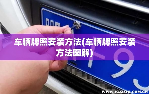 车辆牌照安装方法(车辆牌照安装方法图解)