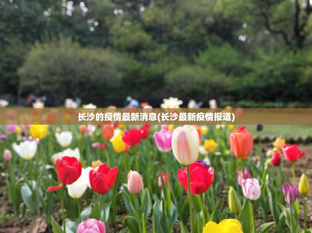 长沙的疫情最新消息(长沙最新疫情报道) 长沙的疫情最新消息(长沙最新疫情报道)