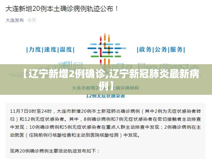 【辽宁新增2例确诊,辽宁新冠肺炎最新病例】 【辽宁新增2例确诊,辽宁新冠肺炎最新病例】