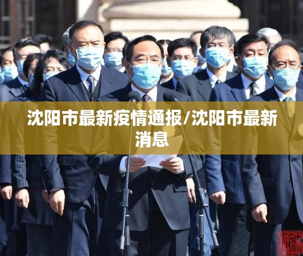 沈阳市最新疫情通报/沈阳市最新消息