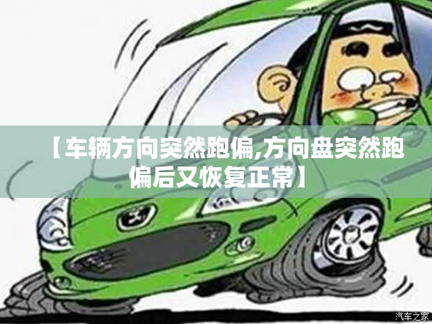 【车辆方向突然跑偏,方向盘突然跑偏后又恢复正常】 【车辆方向突然跑偏,方向盘突然跑偏后又恢复正常】