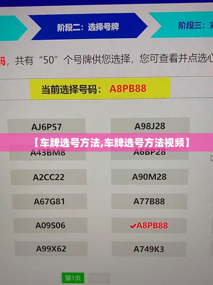 【车牌选号方法,车牌选号方法视频】