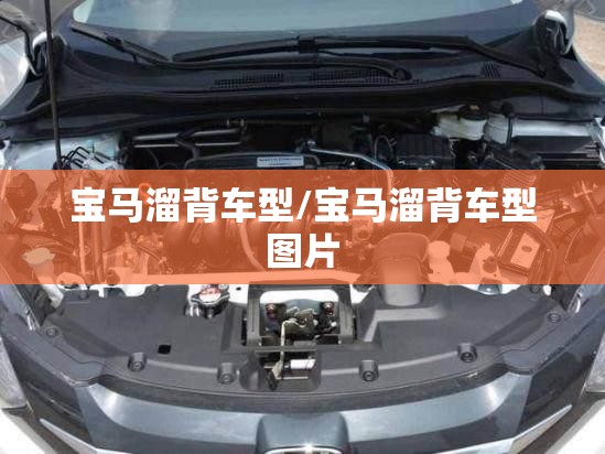 宝马溜背车型/宝马溜背车型图片