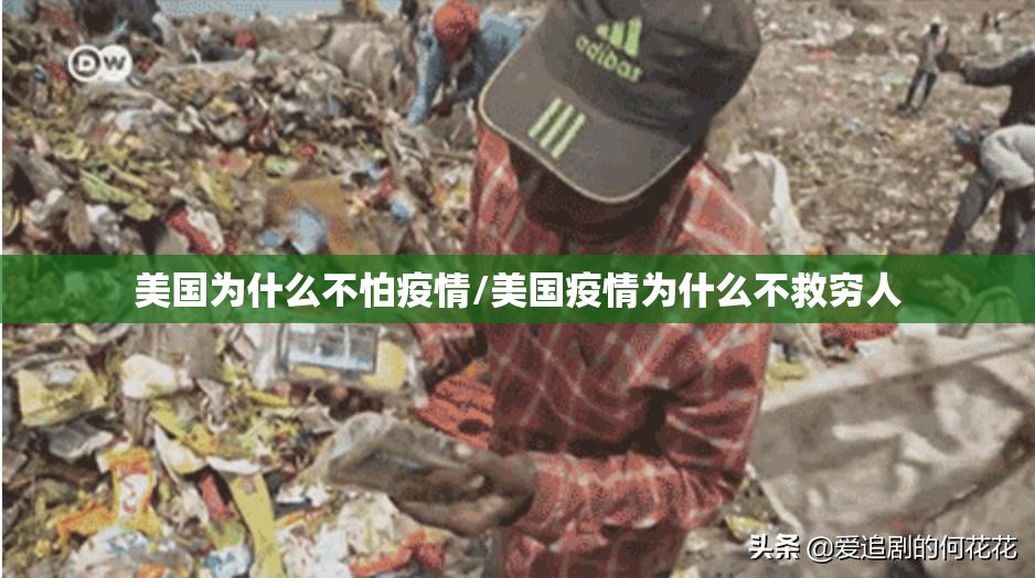 美国为什么不怕疫情/美国疫情为什么不救穷人 美国为什么不怕疫情/美国疫情为什么不救穷人