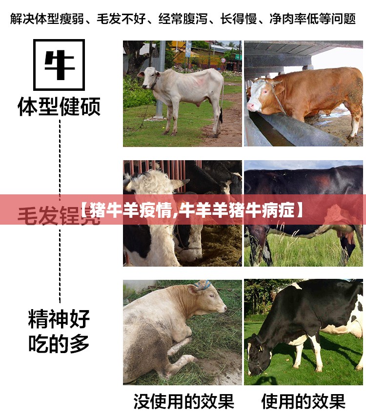 【猪牛羊疫情,牛羊羊猪牛病症】 【猪牛羊疫情,牛羊羊猪牛病症】