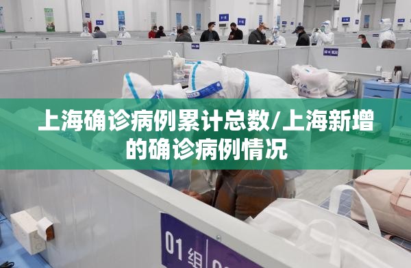 上海确诊病例累计总数/上海新增的确诊病例情况 上海确诊病例累计总数/上海新增的确诊病例情况