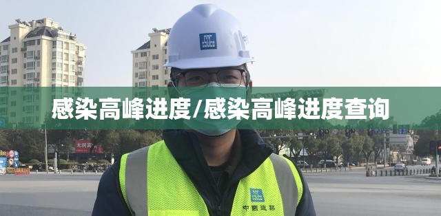 感染高峰进度/感染高峰进度查询 感染高峰进度/感染高峰进度查询
