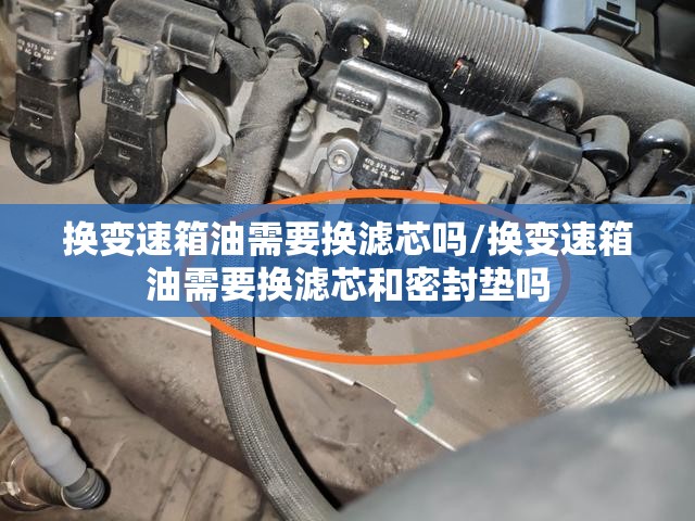 换变速箱油需要换滤芯吗/换变速箱油需要换滤芯和密封垫吗