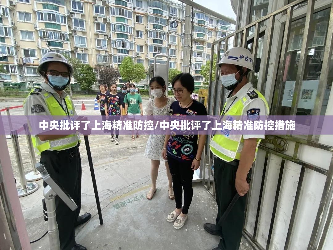 中央批评了上海精准防控/中央批评了上海精准防控措施 中央批评了上海精准防控/中央批评了上海精准防控措施