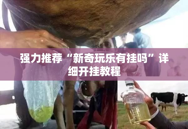 强力推荐“新奇玩乐有挂吗”详细开挂教程