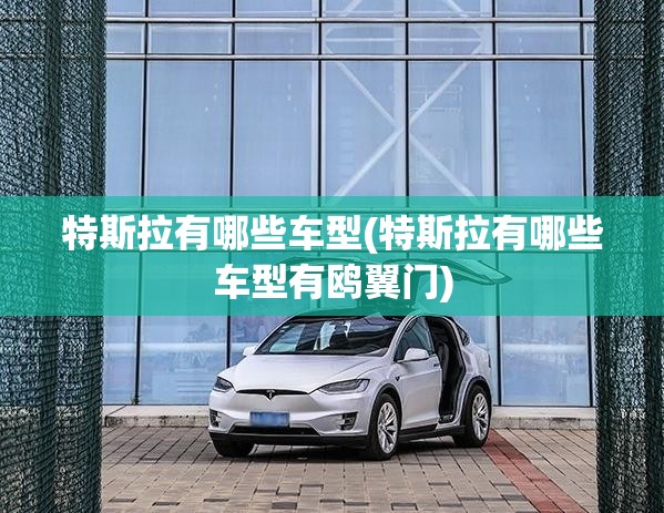 特斯拉有哪些车型(特斯拉有哪些车型有鸥翼门) 特斯拉有哪些车型(特斯拉有哪些车型有鸥翼门)