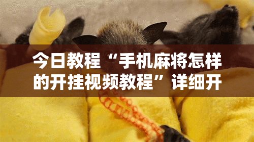 今日教程“手机麻将怎样的开挂视频教程”详细开挂教程
