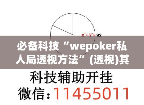 必备科技“wepoker私人局透视方法”(透视)其实确实有挂