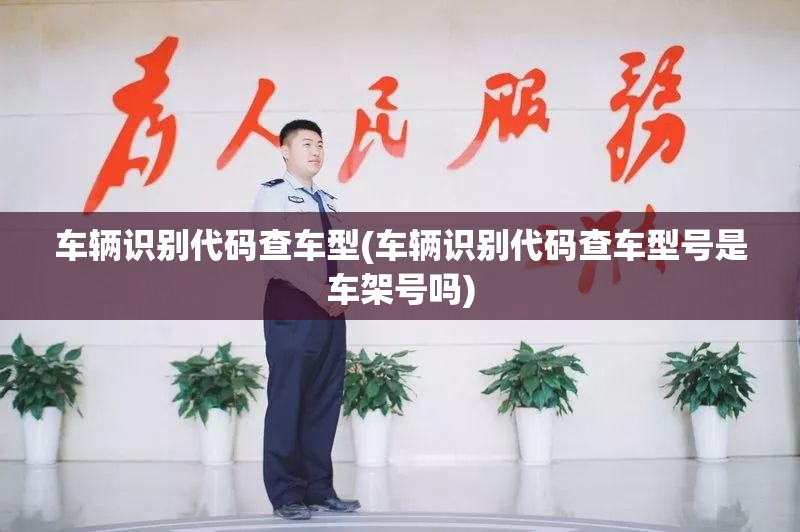 车辆识别代码查车型(车辆识别代码查车型号是车架号吗) 车辆识别代码查车型(车辆识别代码查车型号是车架号吗)