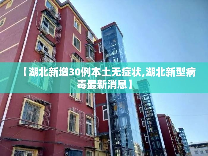 【湖北新增30例本土无症状,湖北新型病毒最新消息】