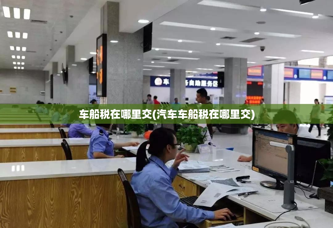 车船税在哪里交(汽车车船税在哪里交)