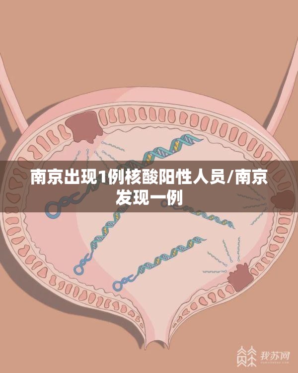 南京出现1例核酸阳性人员/南京发现一例 南京出现1例核酸阳性人员/南京发现一例