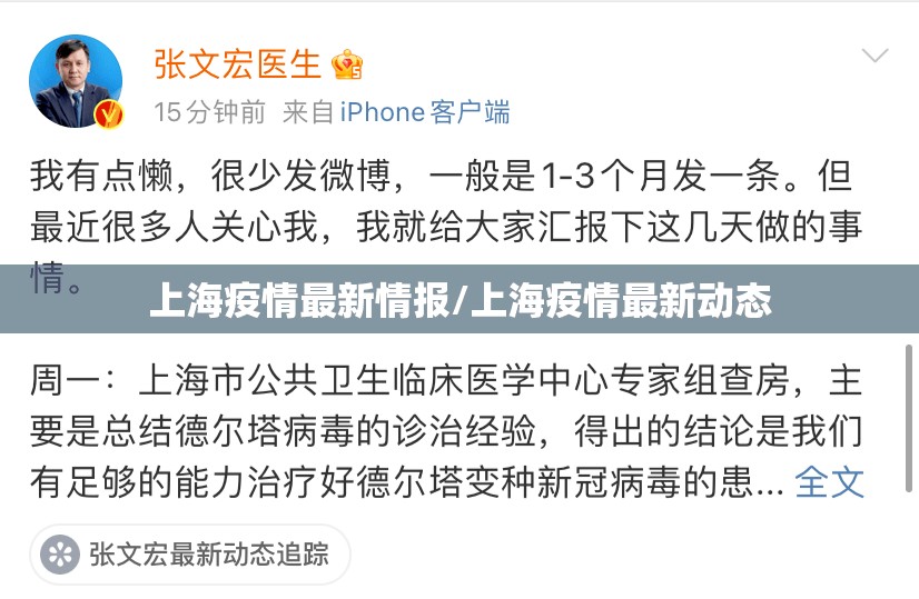 上海疫情最新情报/上海疫情最新动态 上海疫情最新情报/上海疫情最新动态