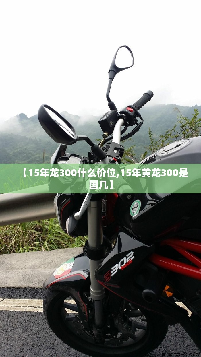 【15年龙300什么价位,15年黄龙300是国几】 【15年龙300什么价位,15年黄龙300是国几】