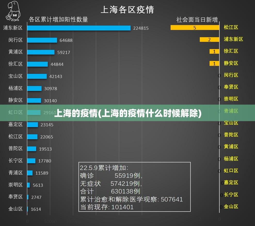 上海的疫情(上海的疫情什么时候解除) 上海的疫情(上海的疫情什么时候解除)