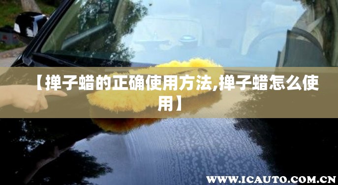 【掸子蜡的正确使用方法,掸子蜡怎么使用】 【掸子蜡的正确使用方法,掸子蜡怎么使用】