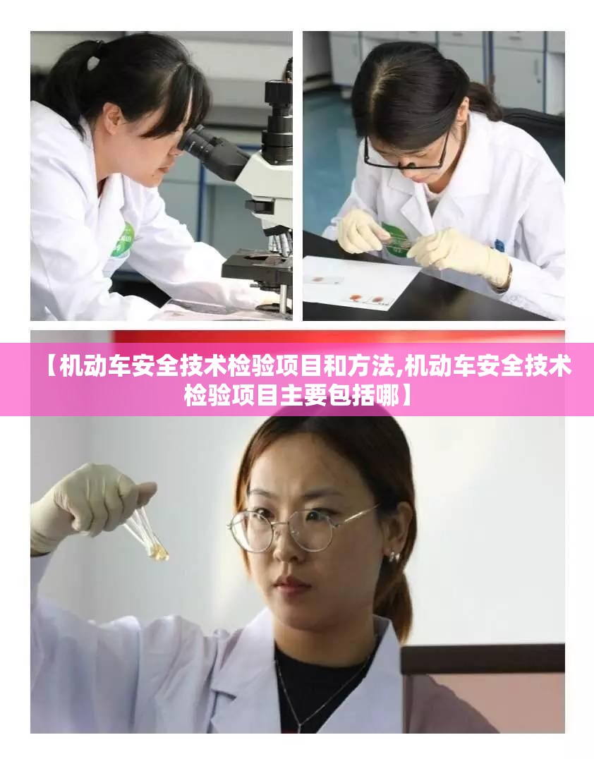 【机动车安全技术检验项目和方法,机动车安全技术检验项目主要包括哪】