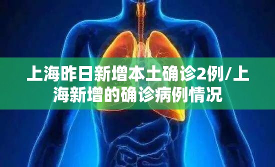 上海昨日新增本土确诊2例/上海新增的确诊病例情况 上海昨日新增本土确诊2例/上海新增的确诊病例情况