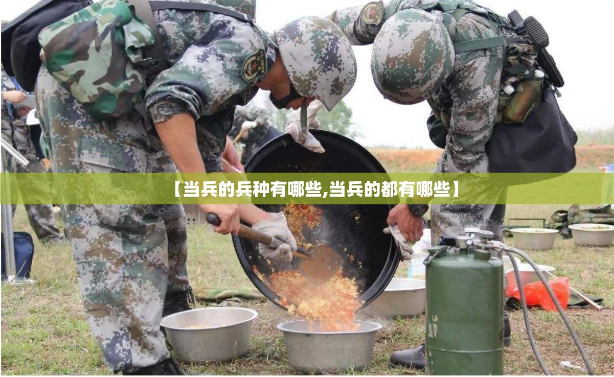 【当兵的兵种有哪些,当兵的都有哪些】 【当兵的兵种有哪些,当兵的都有哪些】