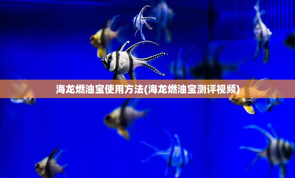 海龙燃油宝使用方法(海龙燃油宝测评视频) 海龙燃油宝使用方法(海龙燃油宝测评视频)