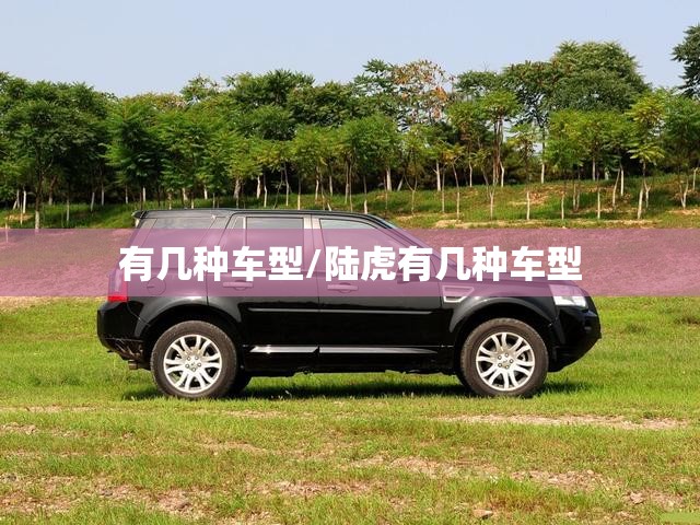 有几种车型/陆虎有几种车型 有几种车型/陆虎有几种车型