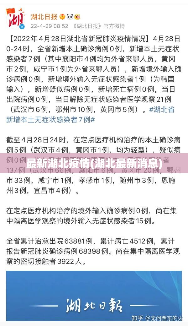 最新湖北疫情(湖北最新消息)