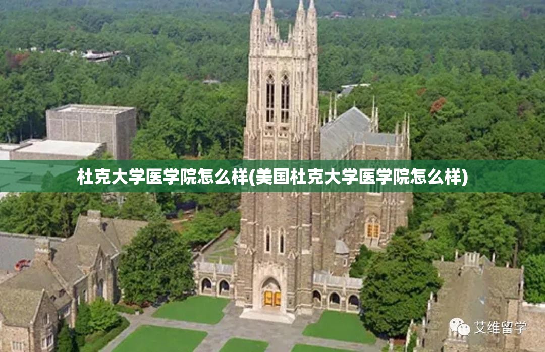 杜克大学医学院怎么样(美国杜克大学医学院怎么样) 杜克大学医学院怎么样(美国杜克大学医学院怎么样)
