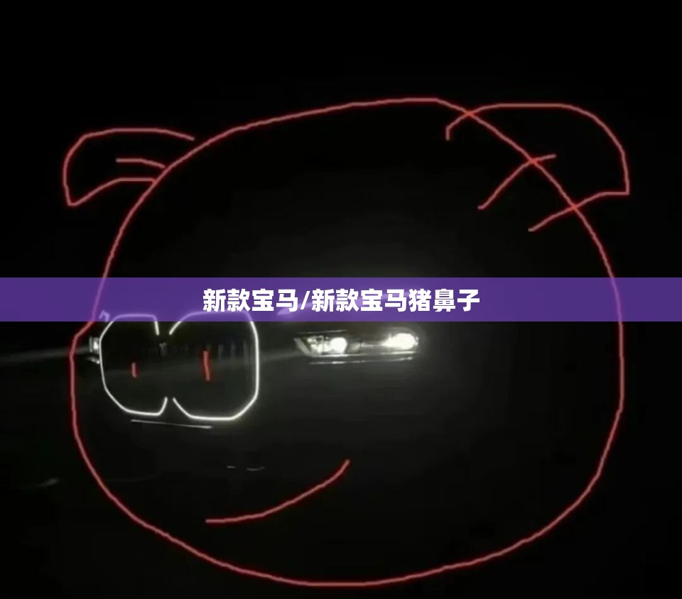 新款宝马/新款宝马猪鼻子 新款宝马/新款宝马猪鼻子