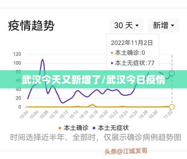 武汉今天又新增了/武汉今日疫情