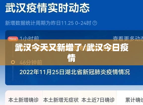 武汉今天又新增了/武汉今日疫情