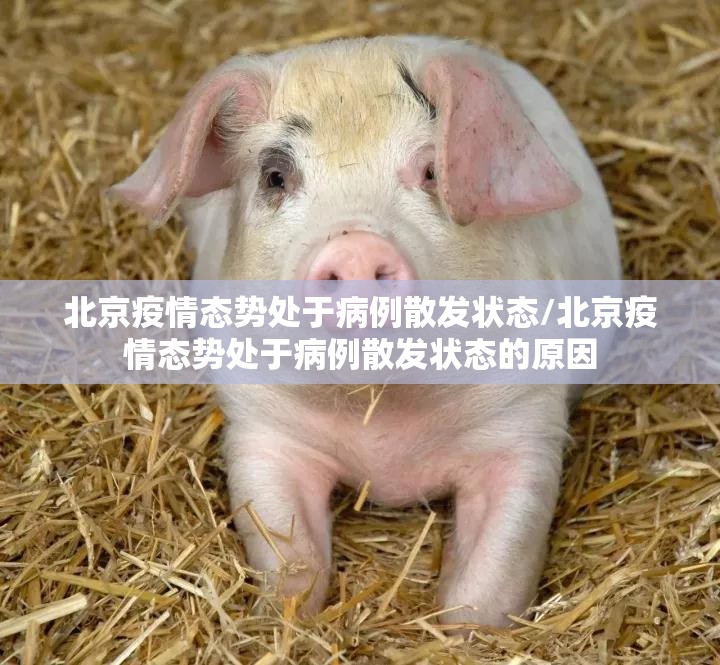 北京疫情态势处于病例散发状态/北京疫情态势处于病例散发状态的原因 北京疫情态势处于病例散发状态/北京疫情态势处于病例散发状态的原因