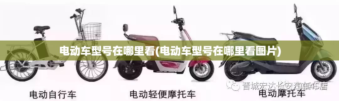 电动车型号在哪里看(电动车型号在哪里看图片) 电动车型号在哪里看(电动车型号在哪里看图片)