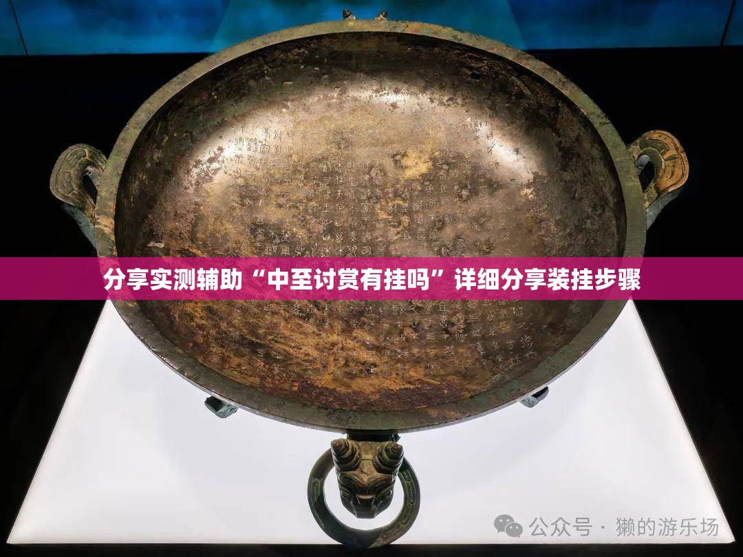 分享实测辅助“中至讨赏有挂吗”详细分享装挂步骤