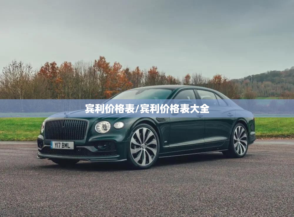 宾利价格表/宾利价格表大全