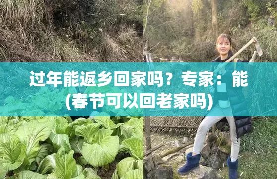 过年能返乡回家吗?专家:能(春节可以回老家吗) 过年能返乡回家吗?专家:能(春节可以回老家吗)