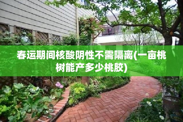 春运期间核酸阴性不需隔离(一亩桃树能产多少桃胶)