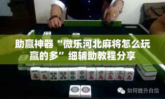 助赢神器“微乐河北麻将怎么玩赢的多”细辅助教程分享