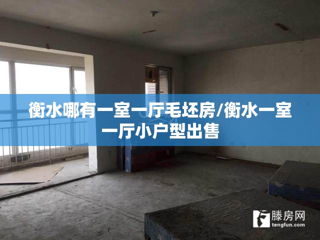 衡水哪有一室一厅毛坯房/衡水一室一厅小户型出售 衡水哪有一室一厅毛坯房/衡水一室一厅小户型出售