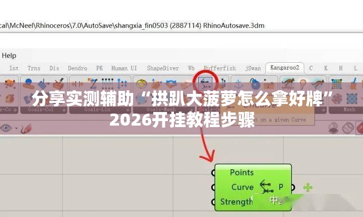 分享实测辅助“拱趴大菠萝怎么拿好牌”2026开挂教程步骤