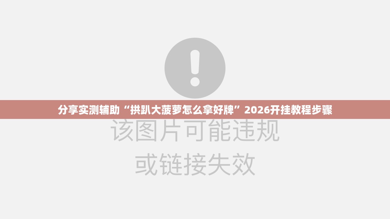 分享实测辅助“拱趴大菠萝怎么拿好牌”2026开挂教程步骤