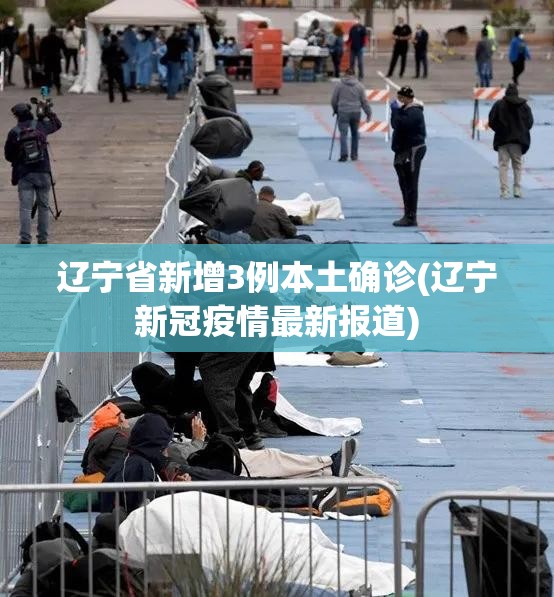 辽宁省新增3例本土确诊(辽宁新冠疫情最新报道) 辽宁省新增3例本土确诊(辽宁新冠疫情最新报道)