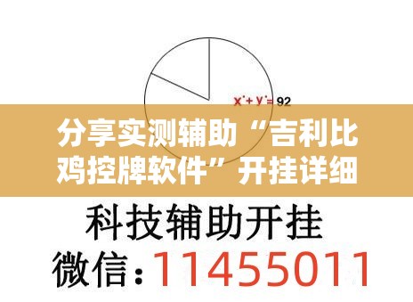 分享实测辅助“吉利比鸡控牌软件	”开挂详细教程