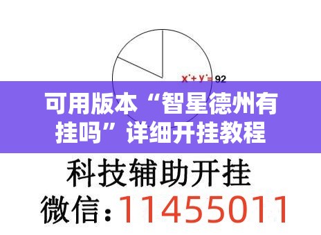可用版本“智星德州有挂吗”详细开挂教程